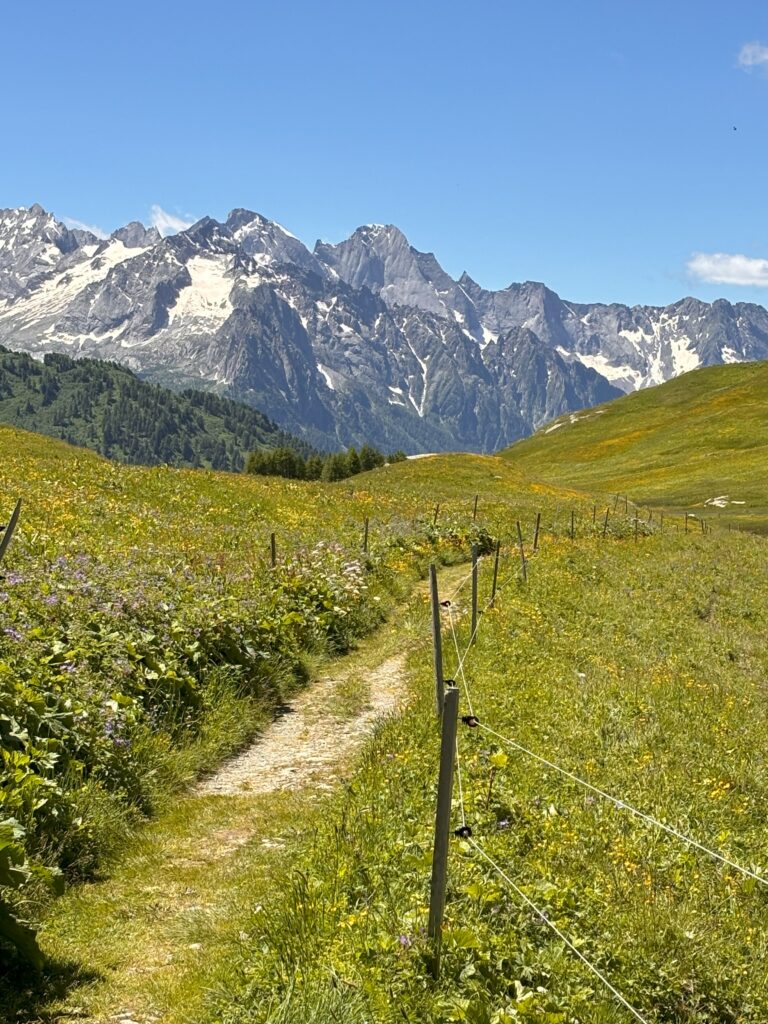 Swiss-alpine-path High mountain trail through the engadine valley and snowy mountains in the background