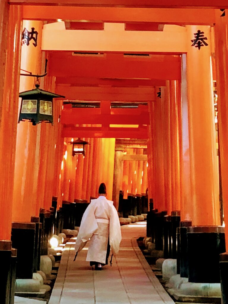 geisha-in-Kyoto's-toreii-gates Geisha dress in white walking through the many brightly coloured orange toreii gates in Kyoto