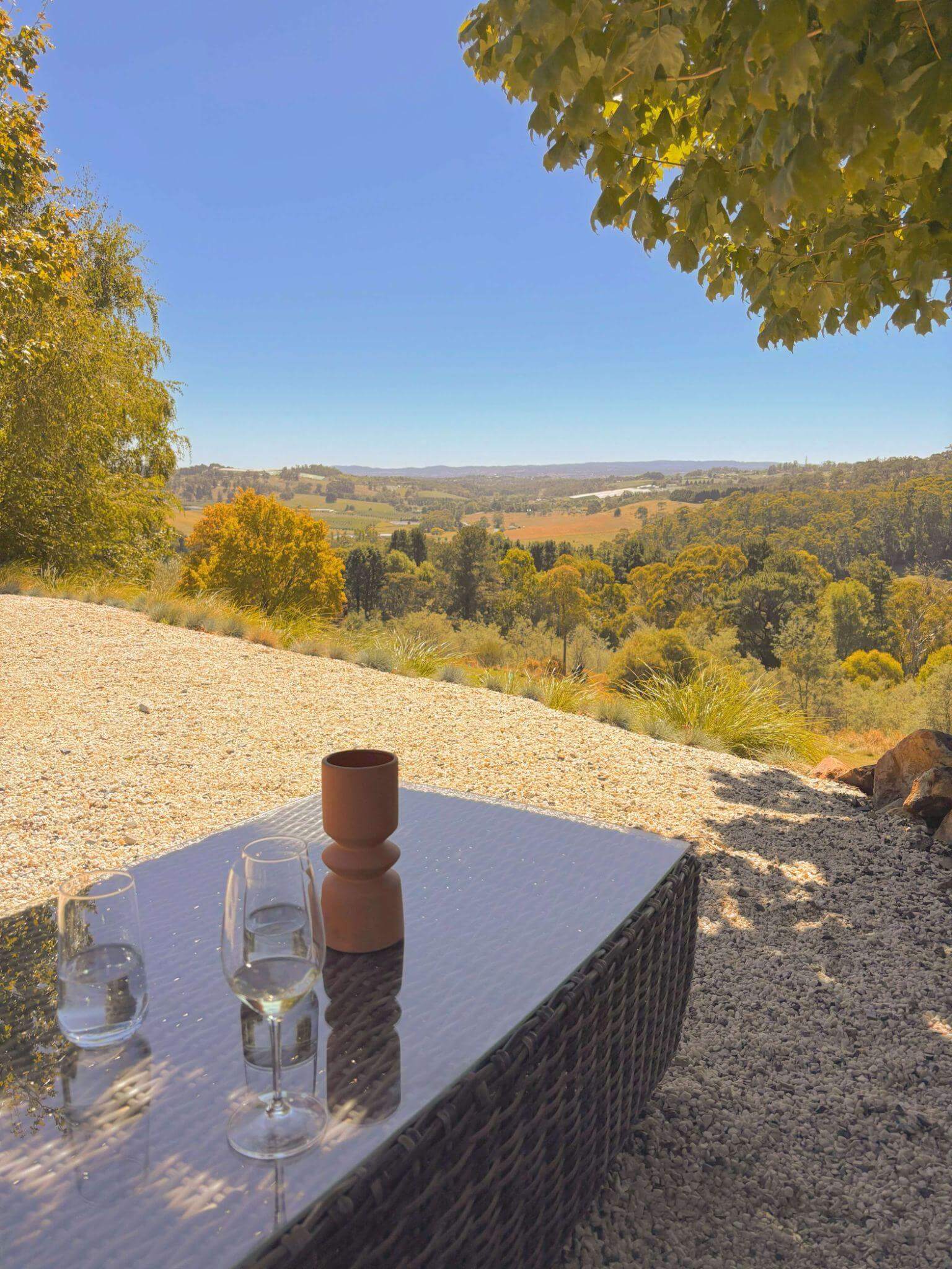 Elegant wine tasting setup at Macquariedale Organic Wines with wine glasses, cheese platter, and panoramic valley views of Orange vineyards stretching to the horizon