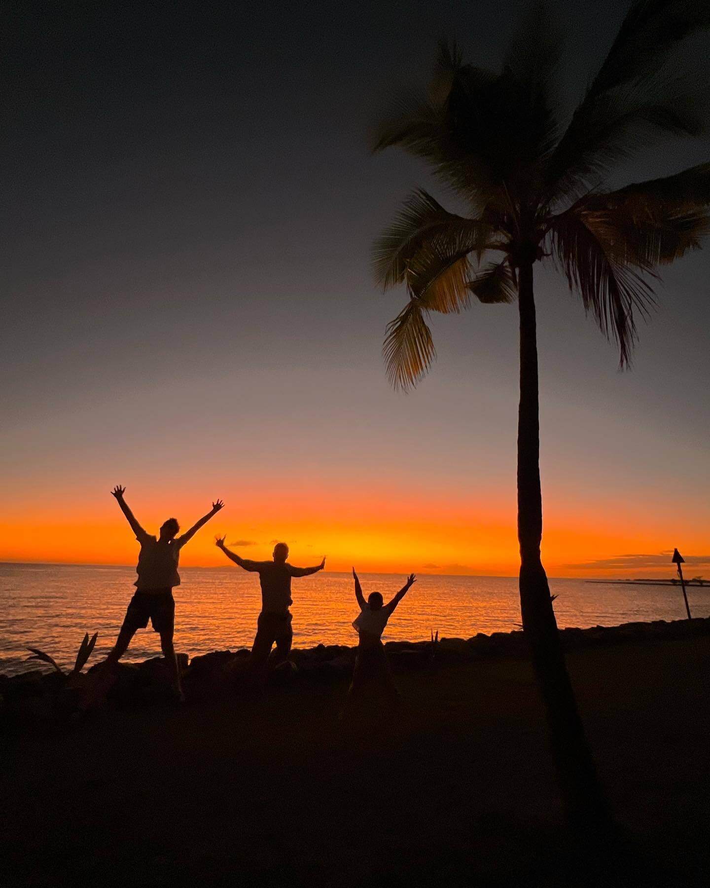Family with hands in the air watching the sunset in Fiji, standing next to a palm tree and black against the orange sunset