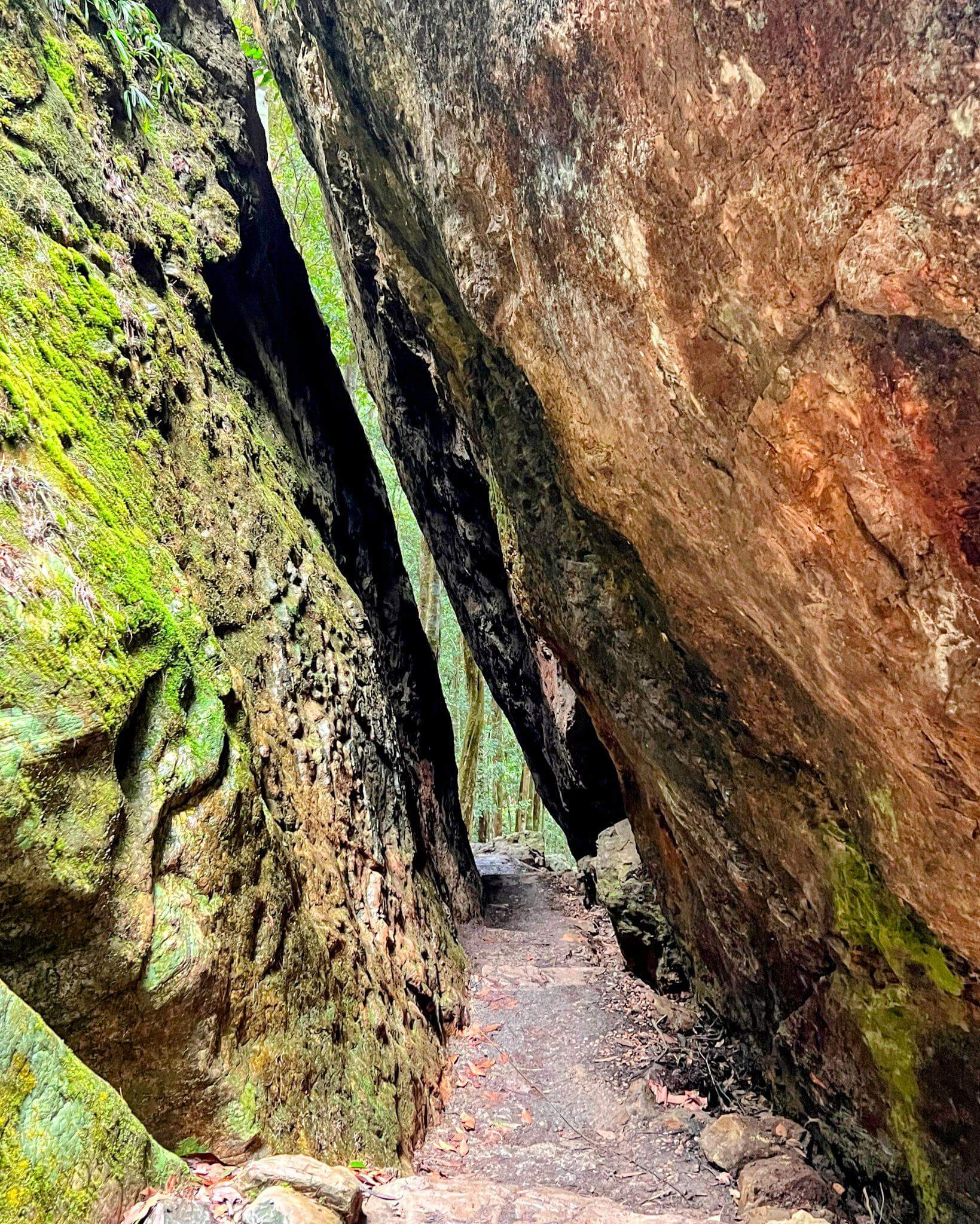Hiking trail through two large boulders on the warrie circuit walk in springbrook national park, queensland, australia