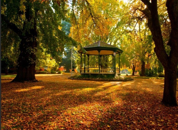 Majestic heritage trees including redwoods and pines in Cook Park Orange, with winding pathways, lush grass areas, and dappled sunlight filtering through the canopy