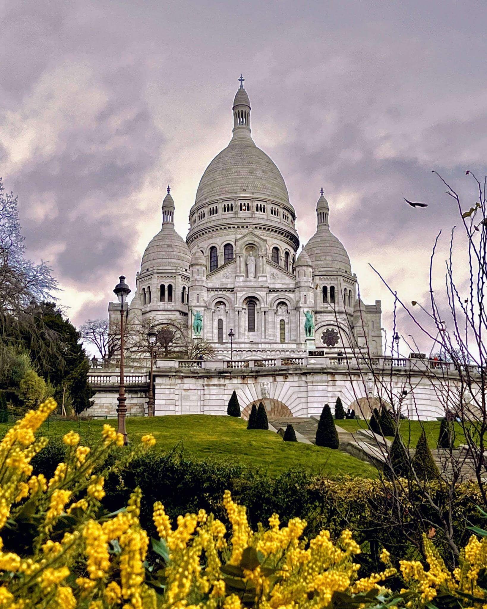 notre dame in paris against a cloudy sky and bright yellow flowers in the foreground