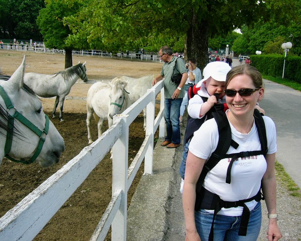 Rachel Reinke travelling with baby in backpack looking at white show horses in Vienna, Austria