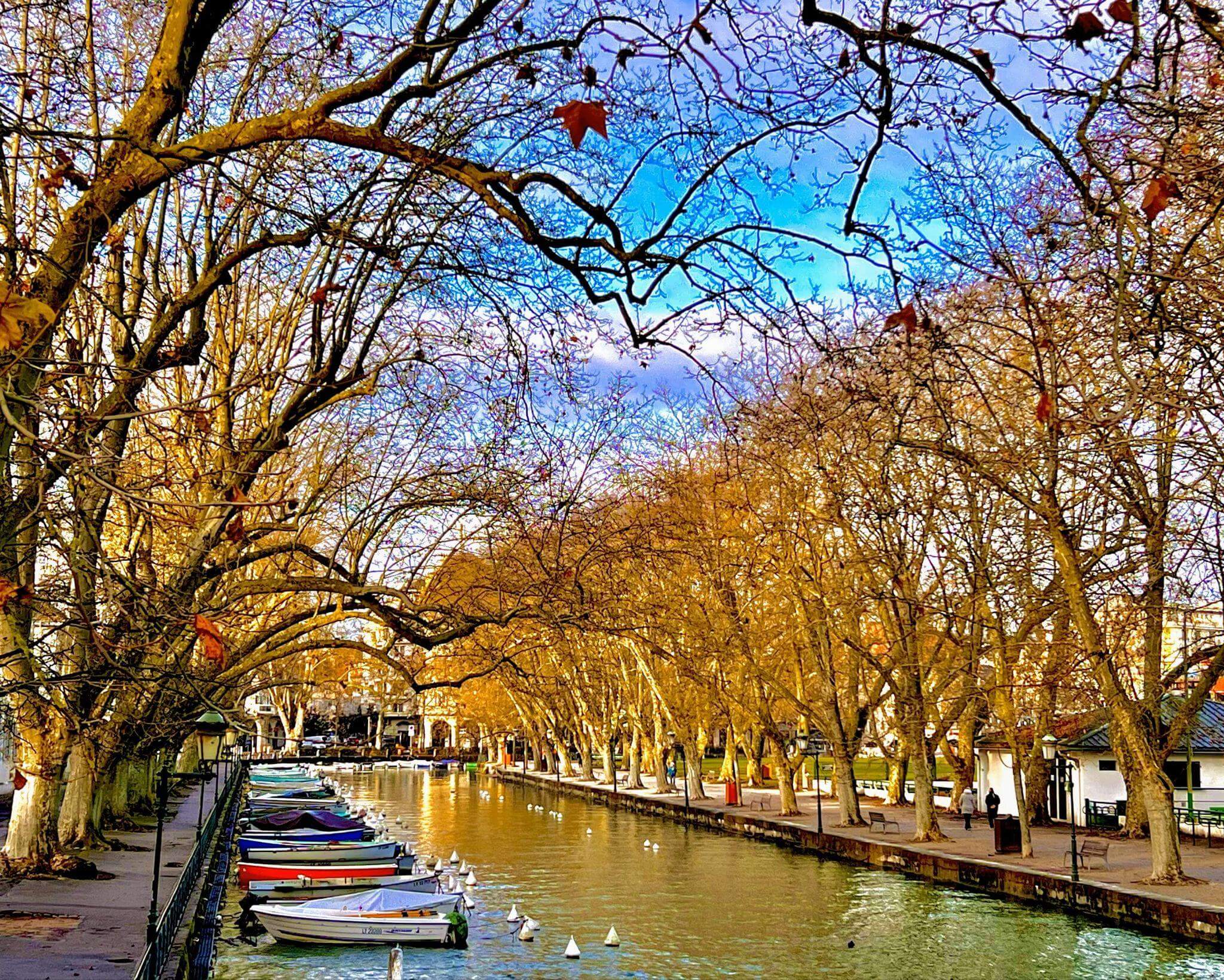 tree lined canal in annecy France with a line of colourful boats in the water