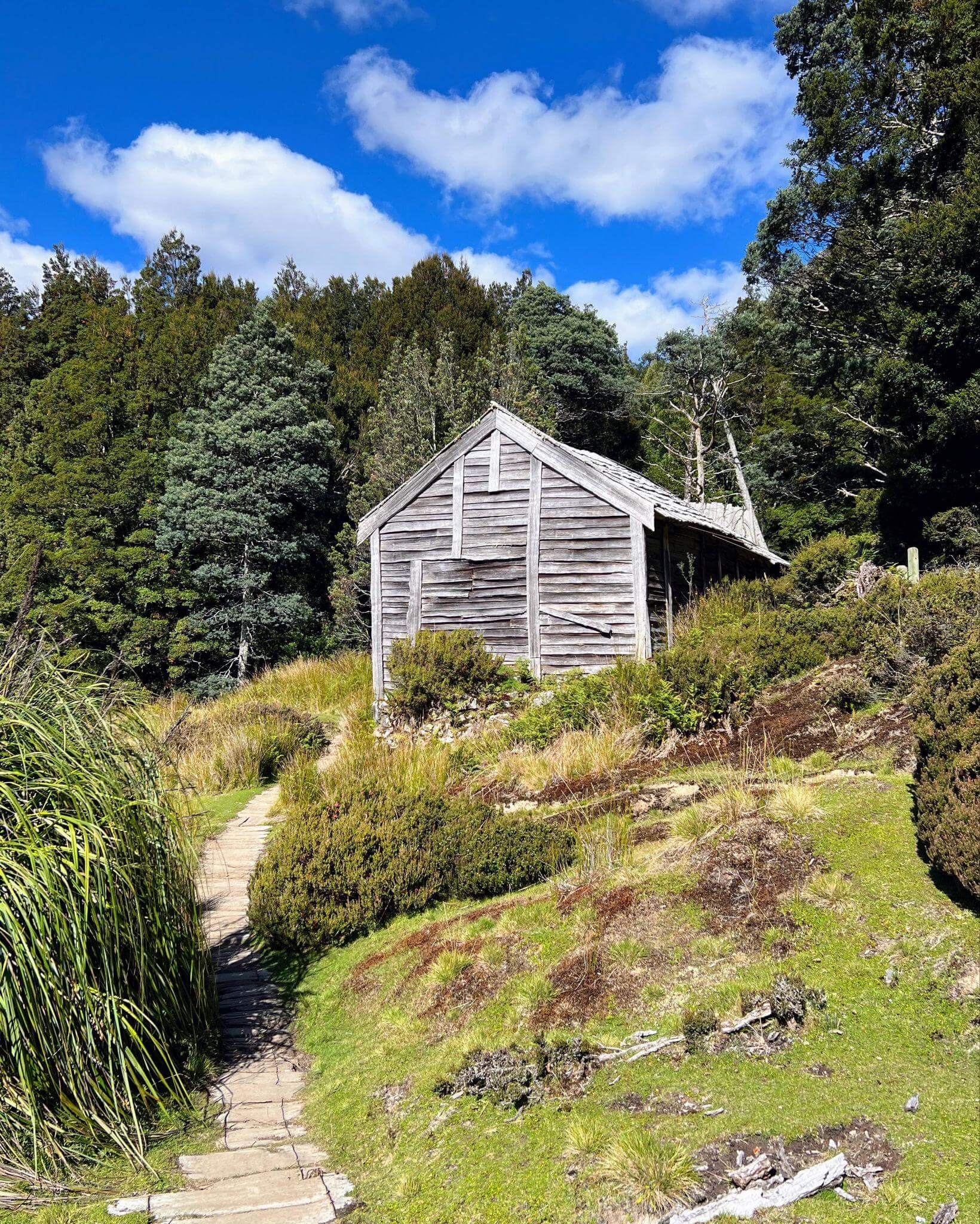 boardwalk steps leading up to an old shingle mountain hut in amongst the old growth forest at cradle mountain national park