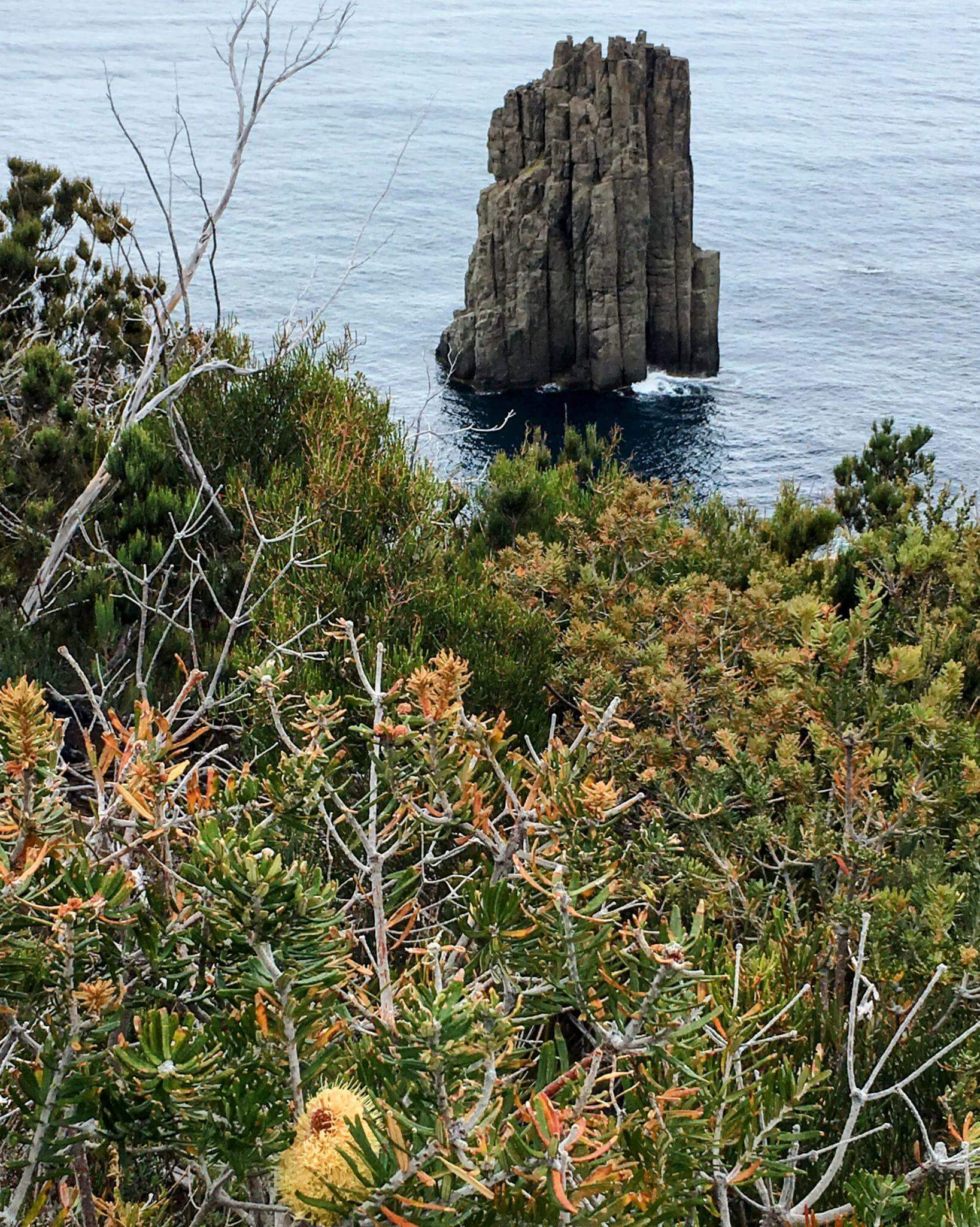 Breathtaking views from one of the three capes on Tasmania's premier walking track