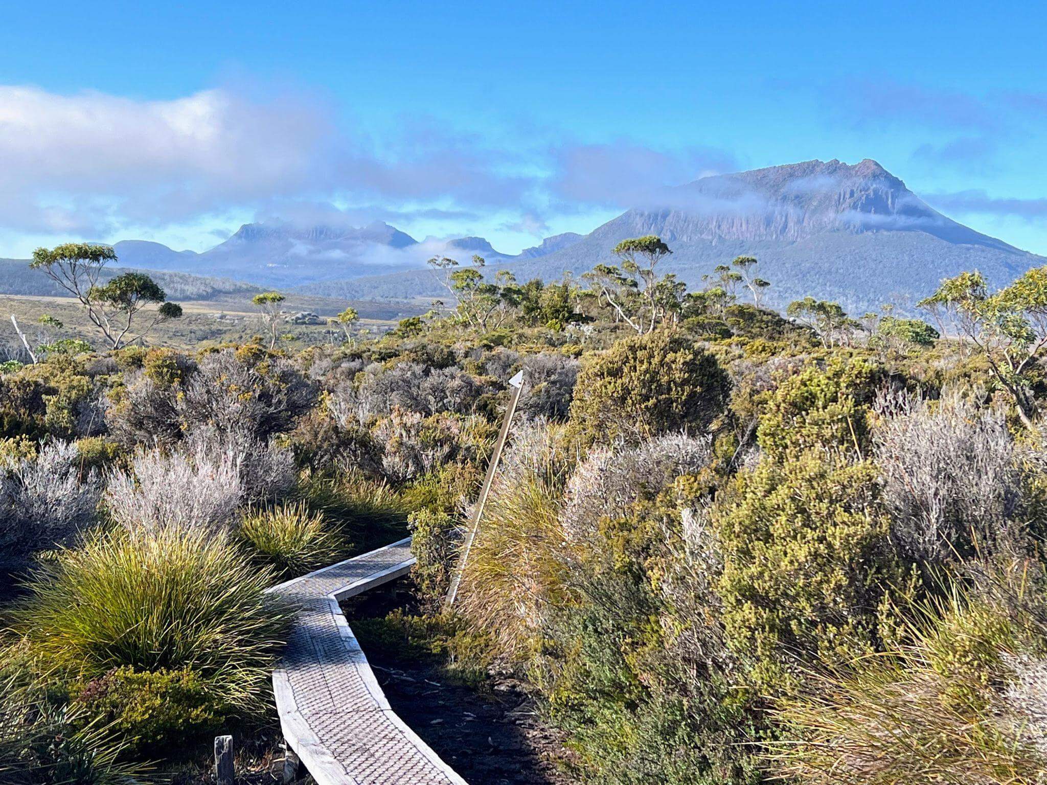 Expansive button grass plains with distant mountains and dramatic sky showing the scale of the wilderness