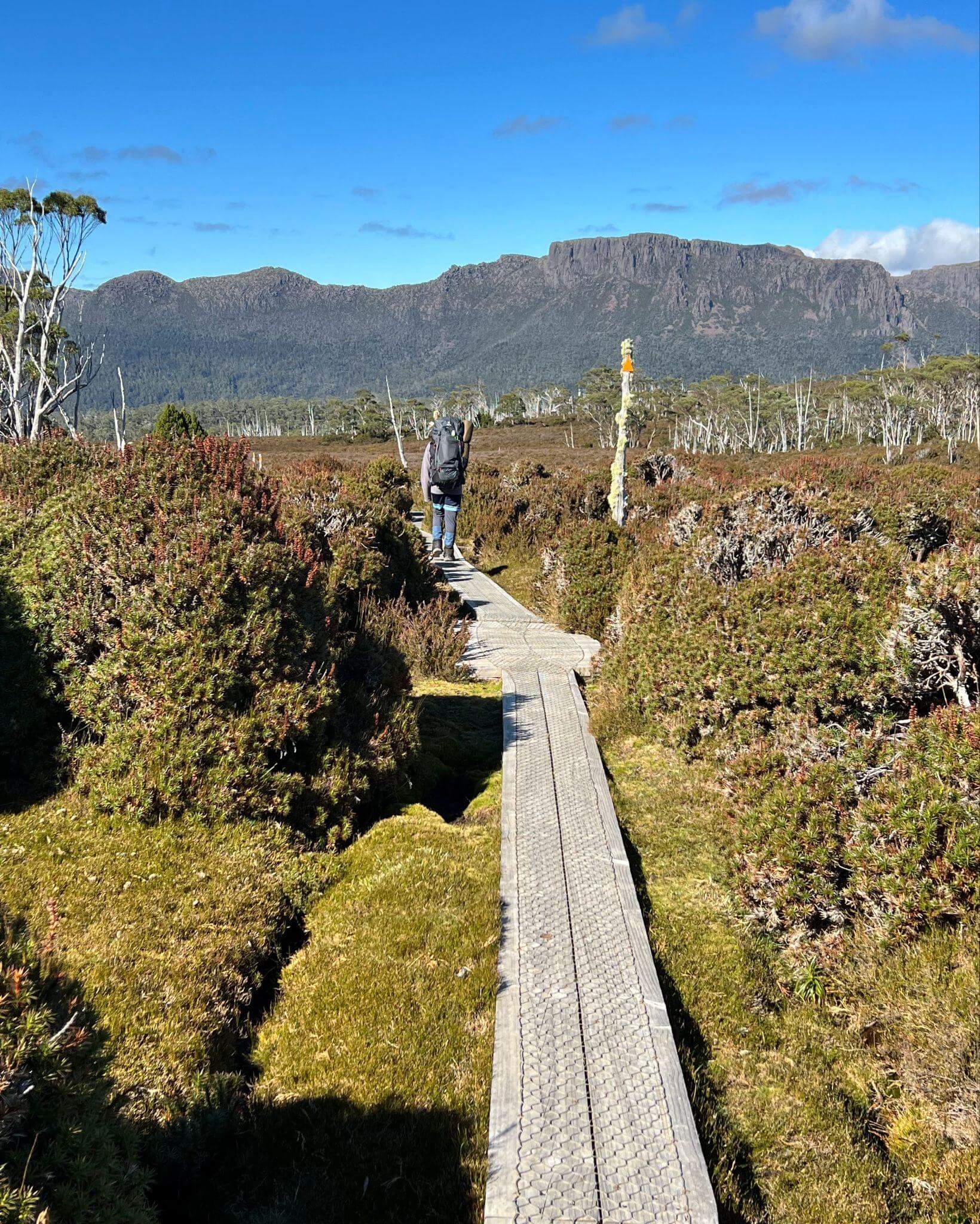 Hikers on wooden boardwalk approaching Cradle Mountain