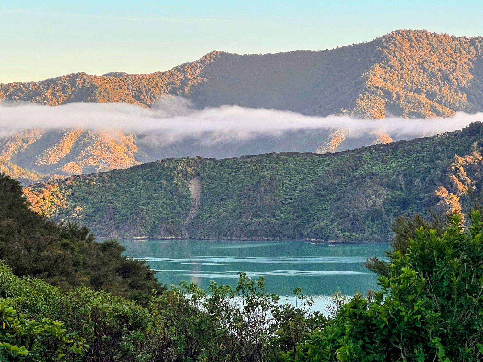 Panoramic view of Queen Charlotte Sound with turquoise water, forested mountains and low cloud band