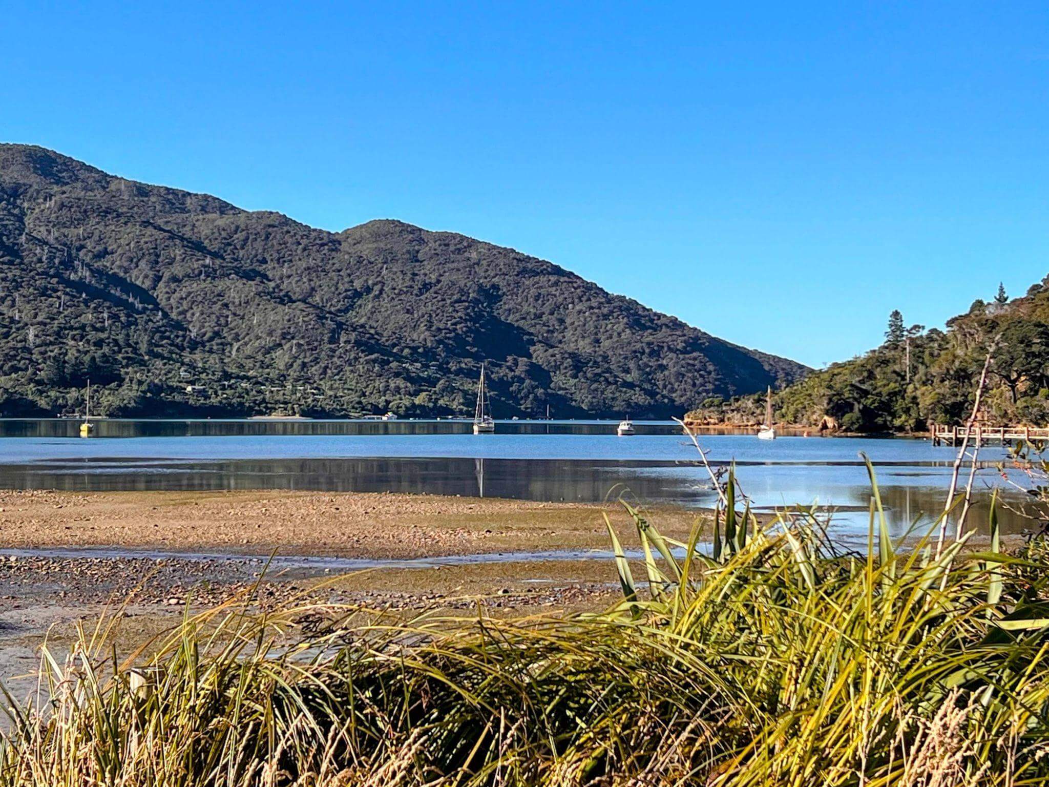 Queen Charlotte Track coastal section showing crystal clear waters and native New Zealand forest