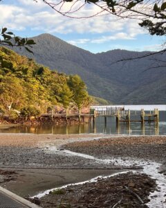 Spectacular morning sun over Marlborough Sounds viewed from Queen Charlotte Track scenic viewpoint