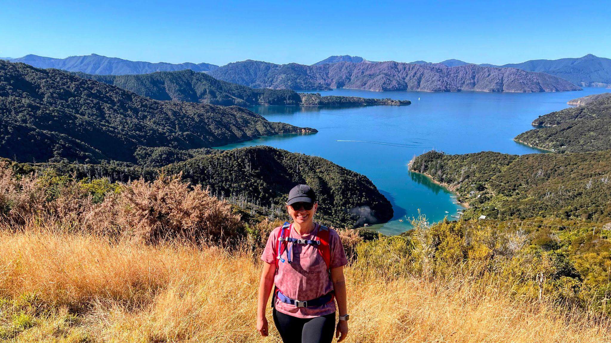 Stunning panoramic view of Queen Charlotte Track showing the scenic coastal trail winding through Marlborough Sounds