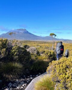 two hikers walking on a boardwalk towards buttongrass plain and mountains in the distance