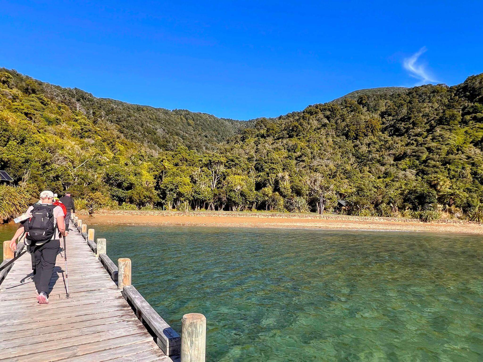 Two hikers with lightweight day packs enjoying the coastal section of Queen Charlotte Track with clear blue waters