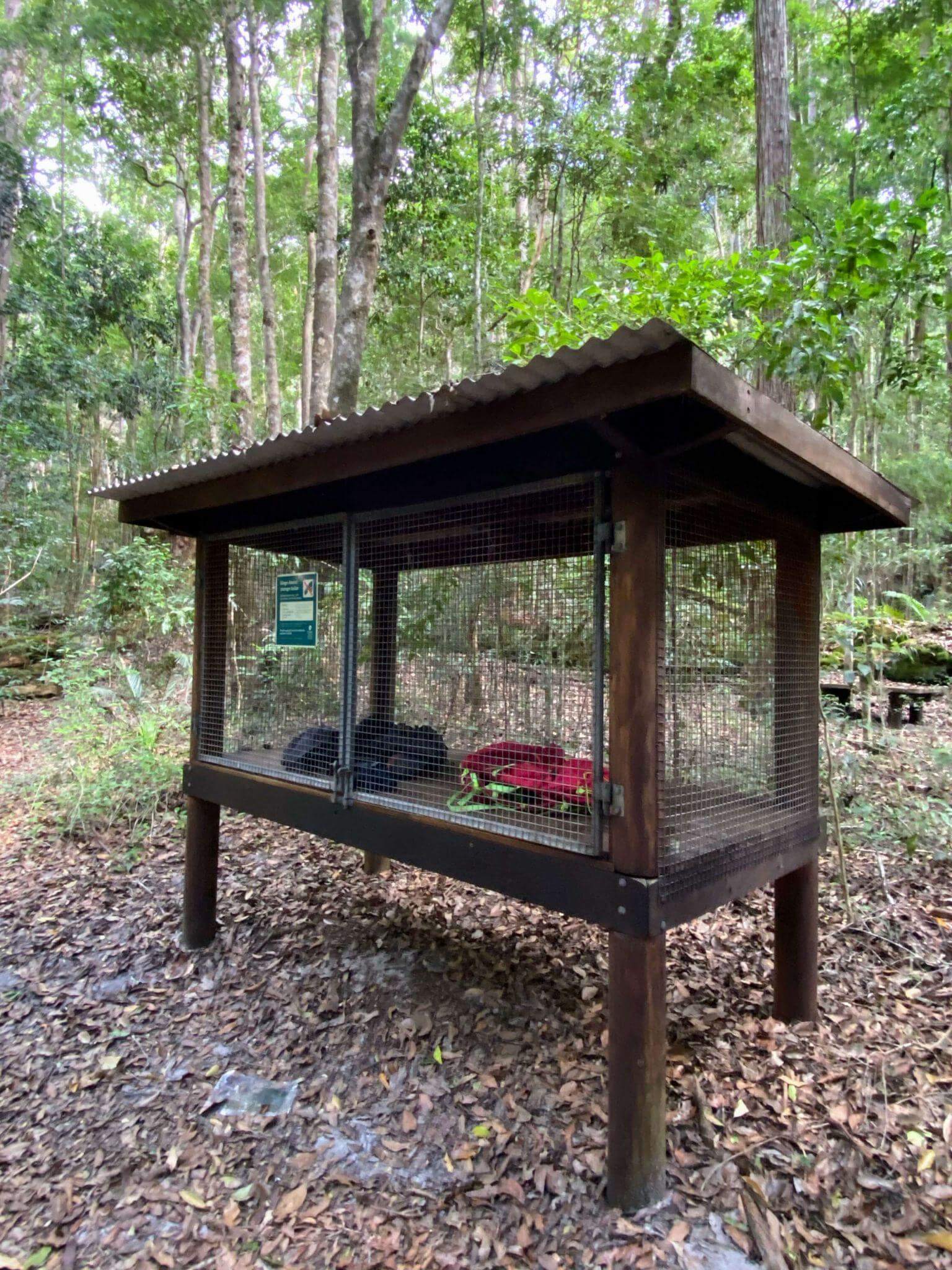Bear-proof food storage locker at campsite showing wildlife safety measures for multi-day hiking adventures