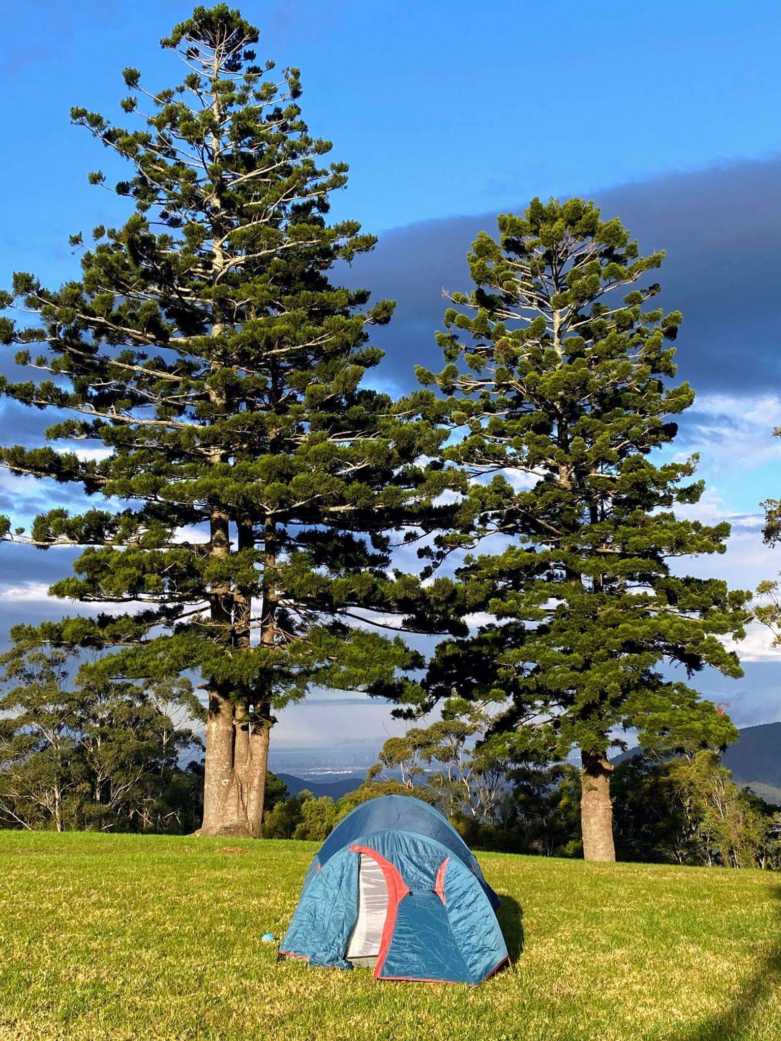 Blue camping tent pitched on grassy hillside with mountain views and hoop pines during multi-day hike