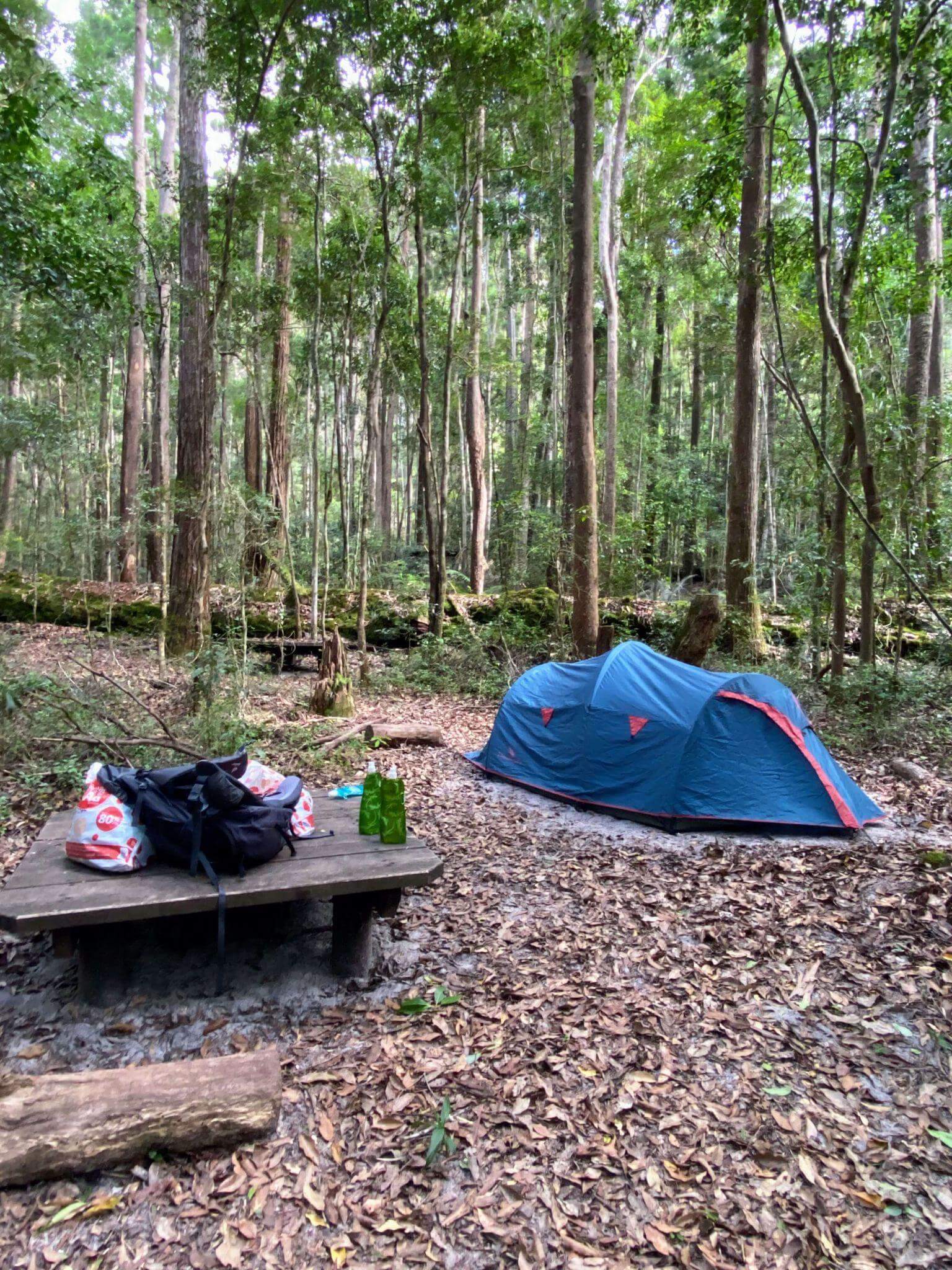 Blue camping tent set up in forest clearing with hiking gear on wooden table for multi-day walk accommodation