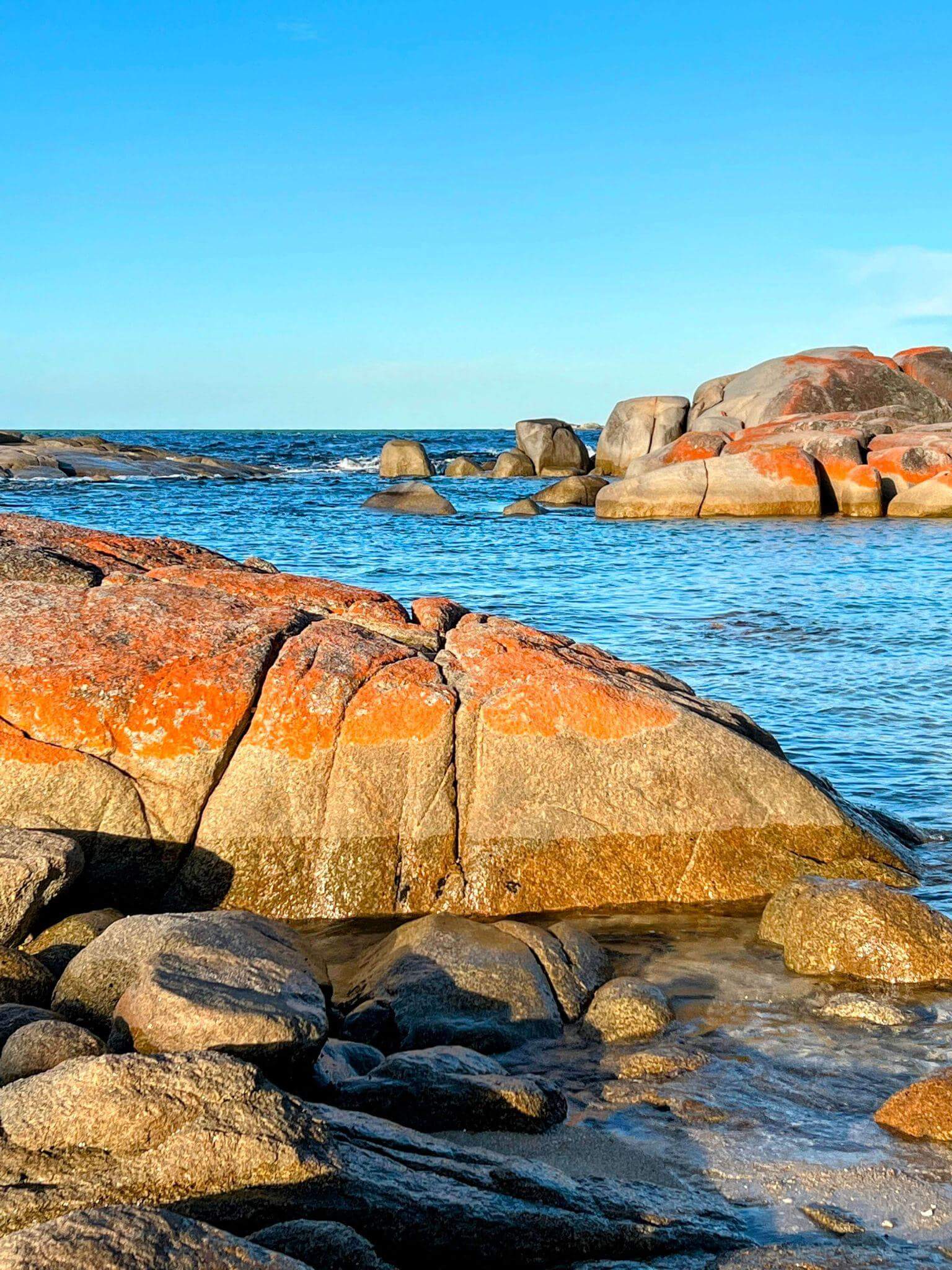 coastal rocks covered in red lichen in Bicheno, Tasmania