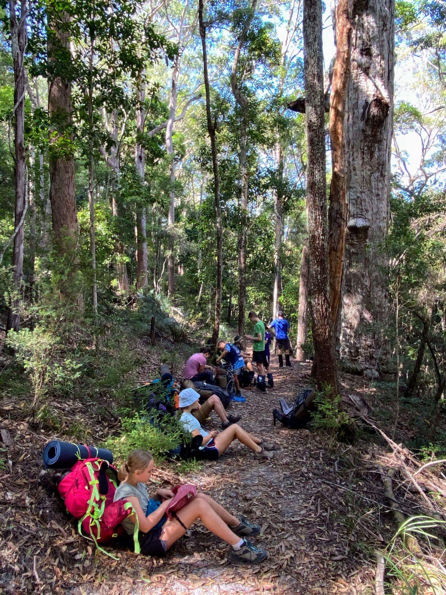 Group of children and families taking a rest stop during multi-day hiking adventure in tall eucalyptus forest, with backpacks scattered around the trail