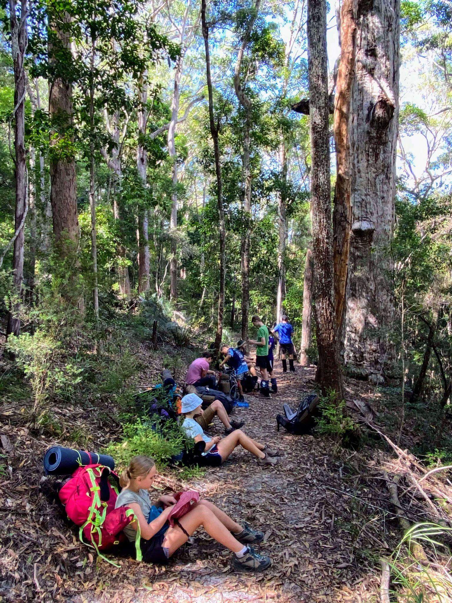 Group of hikers taking lunch break on multi-day hiking trail, sitting among tall eucalyptus trees with backpacks, demonstrating trail meal timing and rest stops