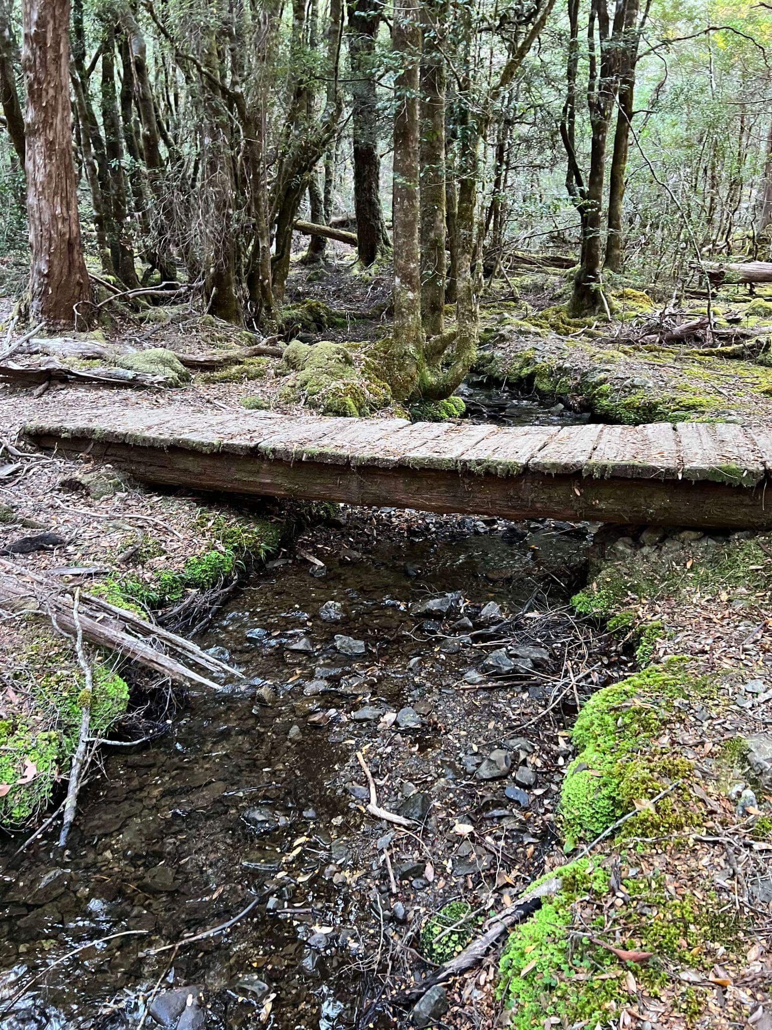 Small wooden bridge crossing mountain creek on multi-day hiking trail with moss-covered rocks and forest
