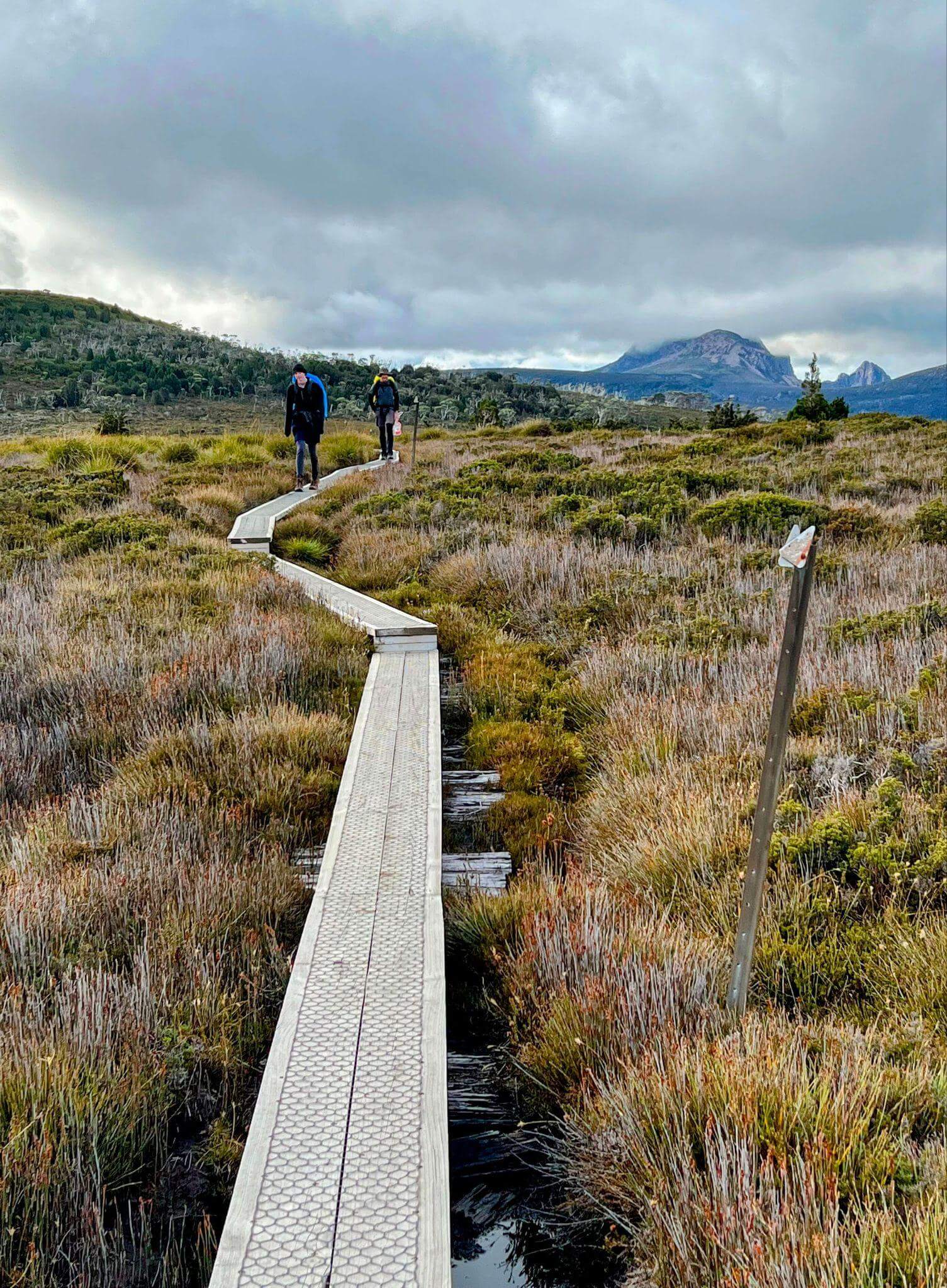 Two hikers walking along a boardwalk over buttongrass on Tasmania's overland track with mountains in the background on a cloudy day