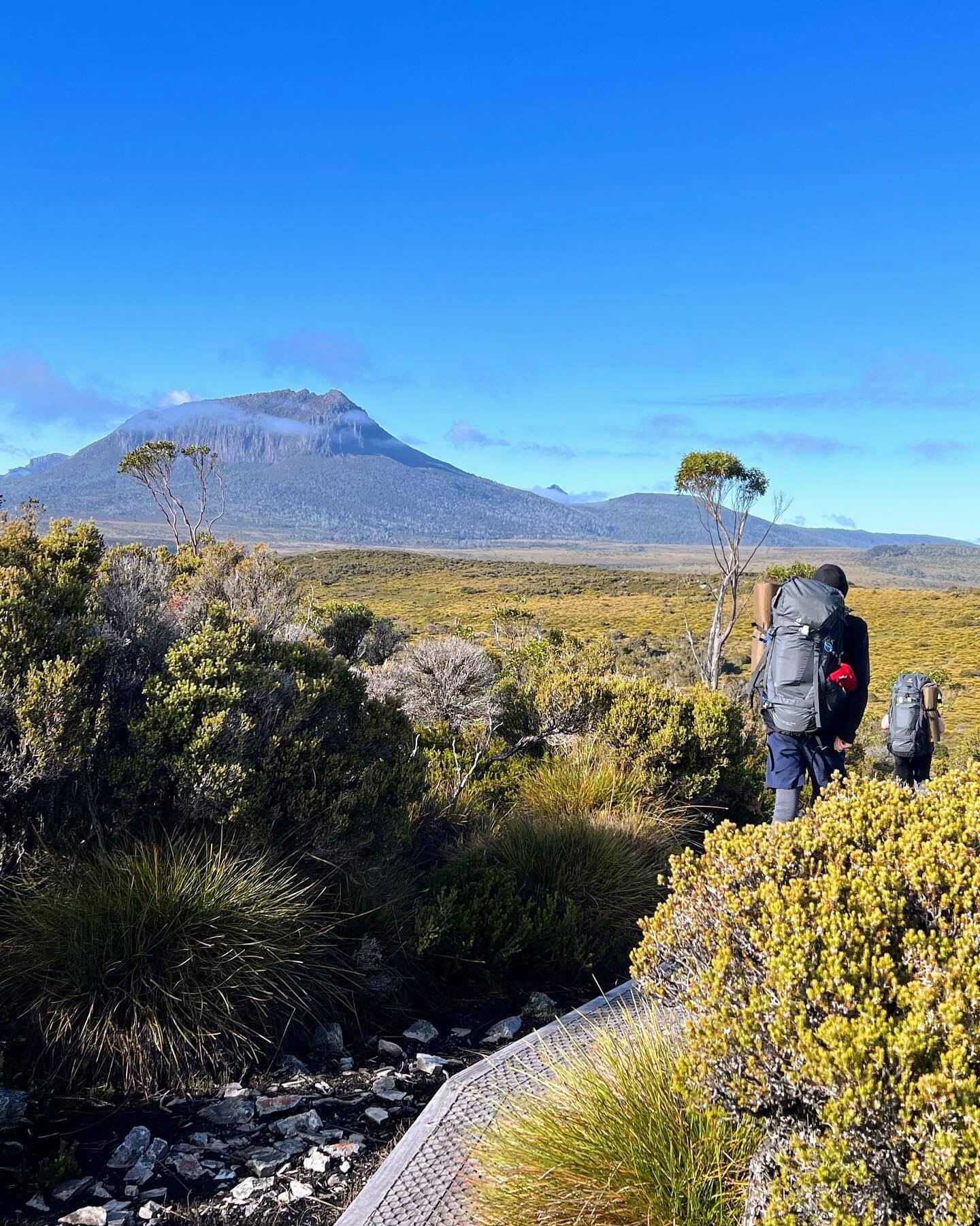 Two young hikers with large backpacks walking through alpine wilderness terrain during multi-day hiking adventure with mountain backdrop and native vegetation