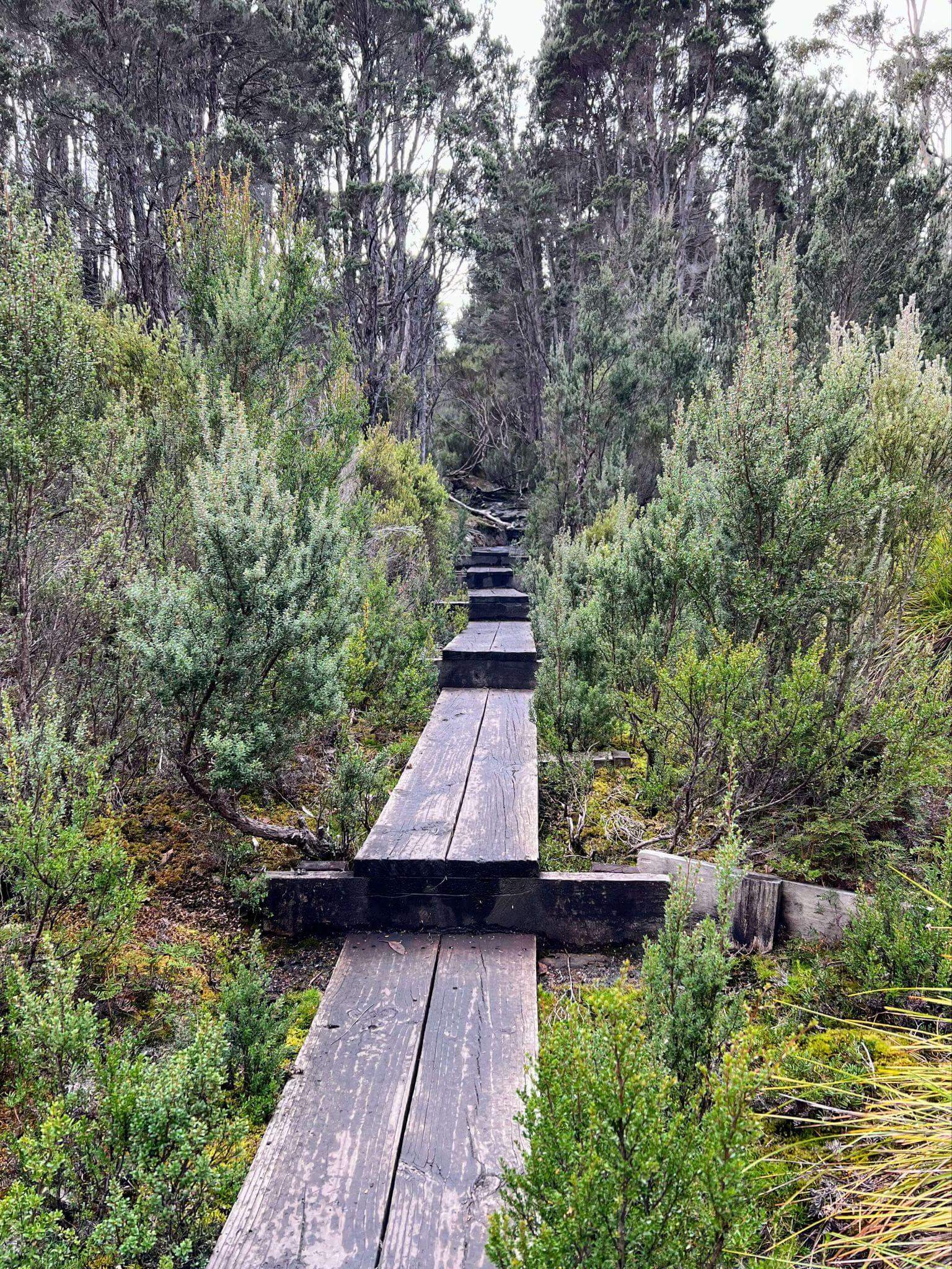 Wooden boardwalk crossing wetland area on multi-day hiking trail showing trail infrastructure and terrain